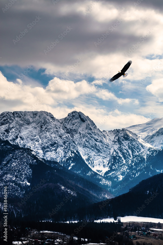Fototapeta premium Winter mountains panorama of Zakopane, High Tatra Mountains, Poland
