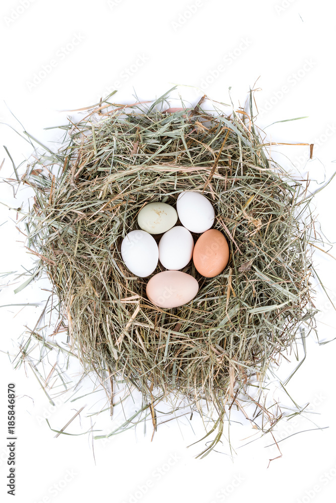 Farm fresh and commercial eggs in a nest of hay Farm fresh and commercial eggs in a nest of hay