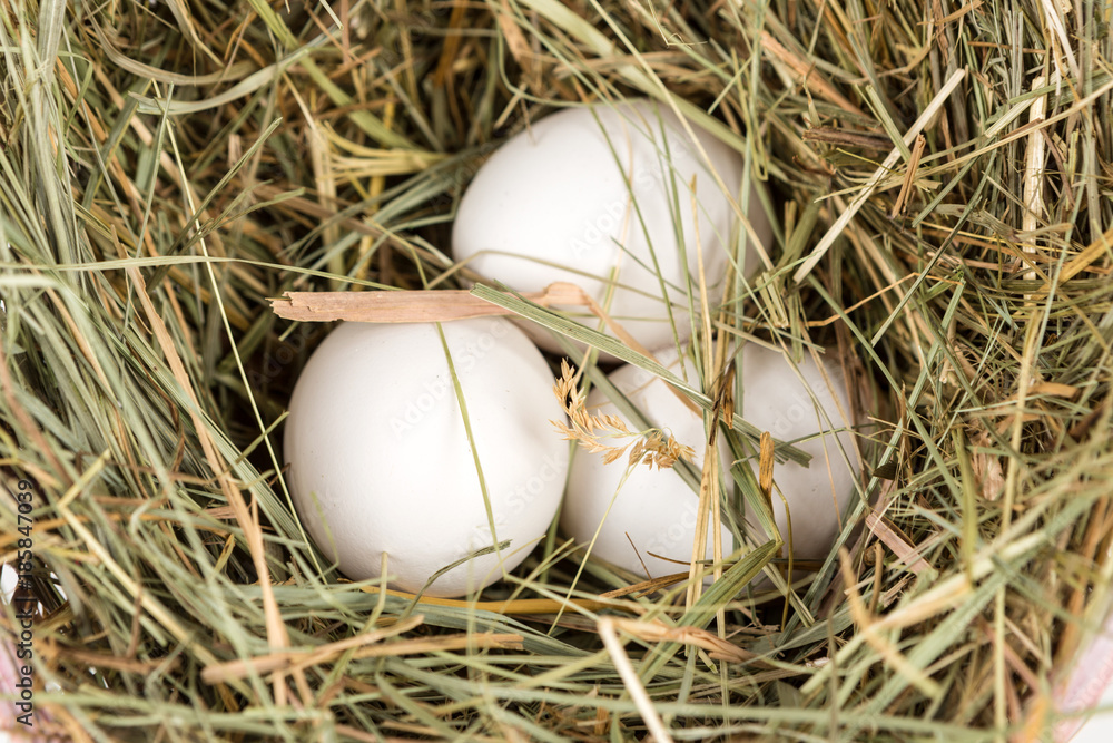 Obraz premium Commercial eggs and hay on a white background