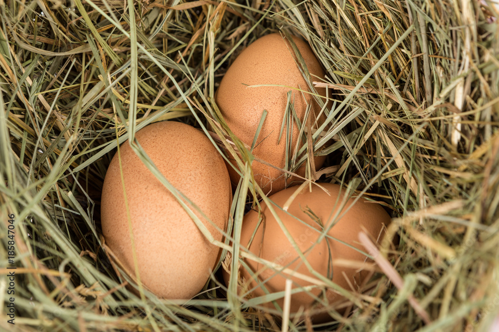 Farm fresh eggs and hay on a white background Farm fresh eggs and hay on a white background