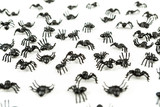 Black plastic fake spiders crawling on a white background