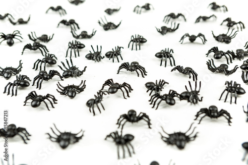 Black plastic fake spiders crawling on a white background © ecummings00