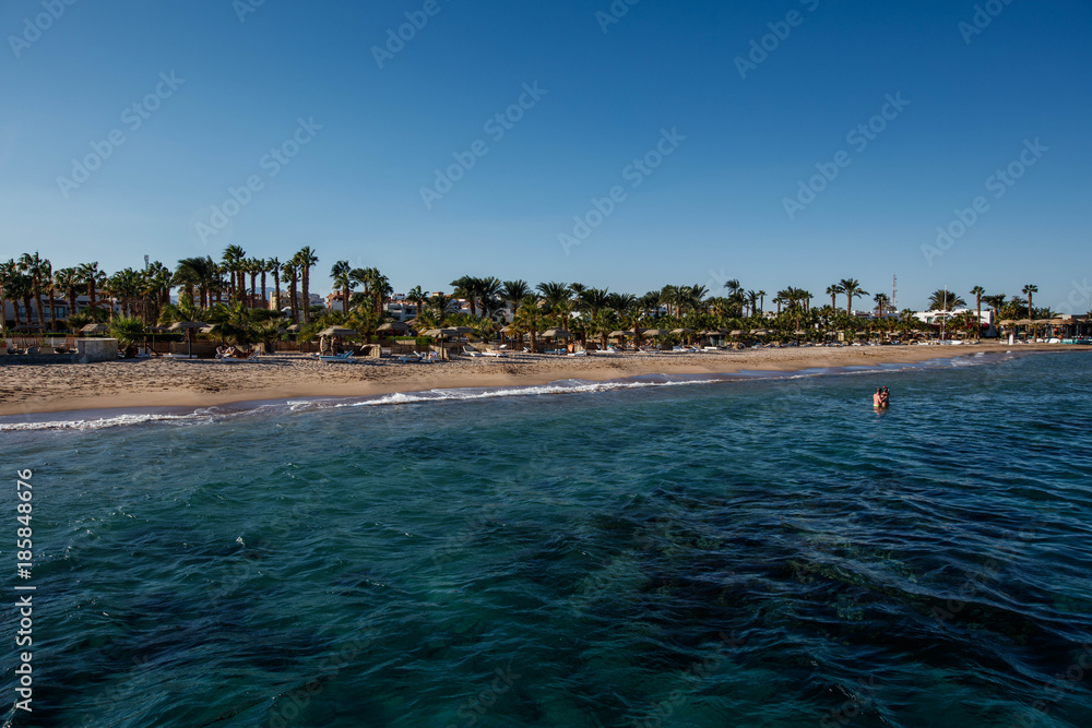Egipt plaża z palmami w kurorcie