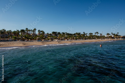Egipt plaża z palmami w kurorcie