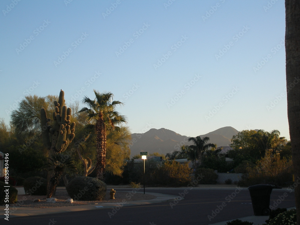 Scottsdale as suburban ranchland, the city has become a sporty yet laid-back resort destination famed for its posh properties, lush golf courses, and indulgent spas. Scottsdale as suburban ranchland, the city has become a sporty yet laid-back resort destination famed for its posh properties, lush golf courses, and indulgent spas.