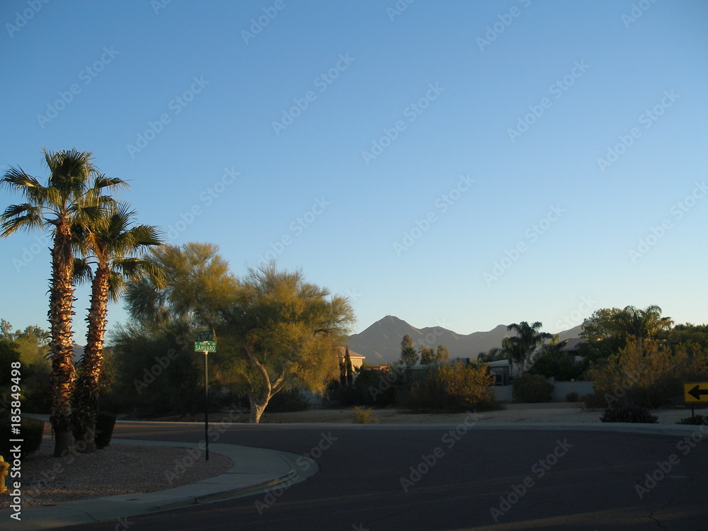 Fototapeta premium Scottsdale as suburban ranchland, the city has become a sporty yet laid-back resort destination famed for its posh properties, lush golf courses, and indulgent spas.