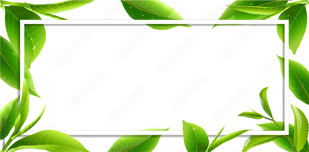 glass  leaves green tea  isolated on white background.