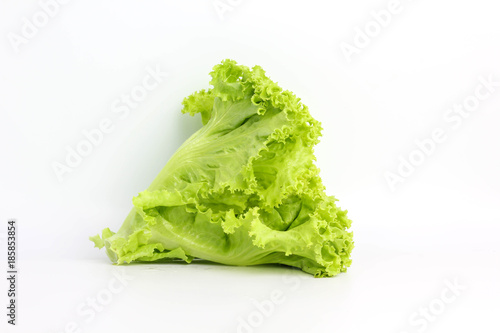Lettuce Salad leaf . isolated on white background