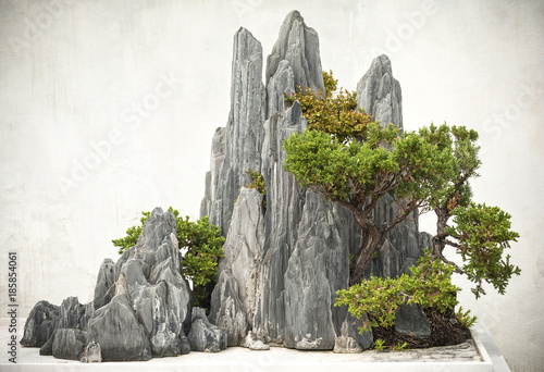 Chinese bonsai, located in Suzhou City, Jiangsu Province, China. photo