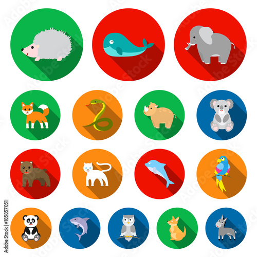 An unrealistic animal flat icons in set collection for design. Toy animals vector symbol stock web illustration. photo