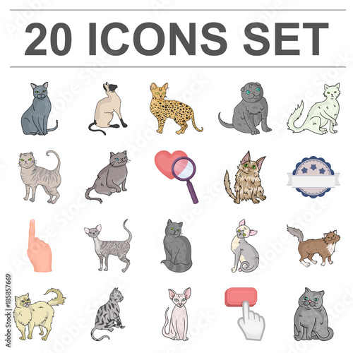 Breeds of cats cartoon icons in set collection for design. Pet cat vector symbol stock web illustration.