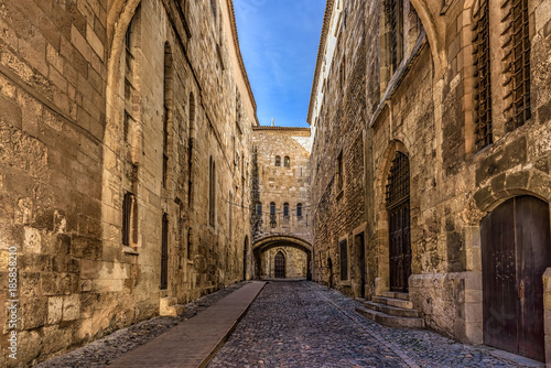 Cobblestone street between high walls in a medieval city © Cinar