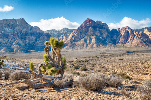 Red Rock Canyon