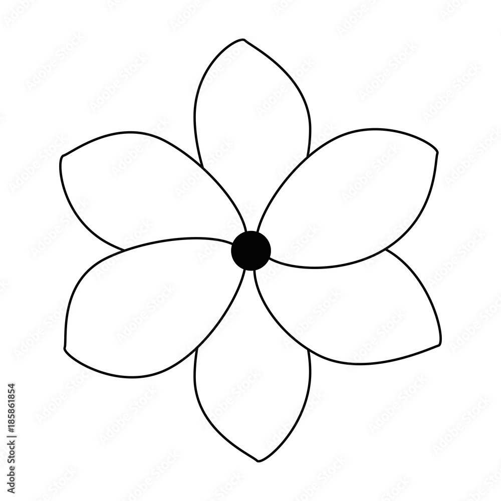 exotic and tropical flower