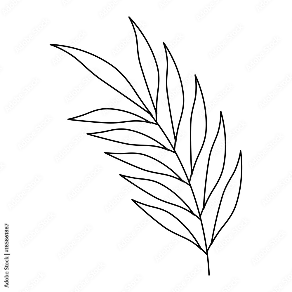 tropical palm leaf icon tropical palm leaf icon