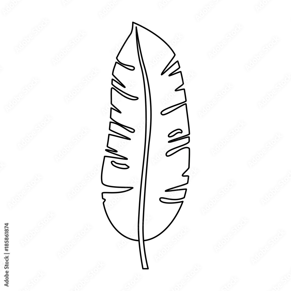 tropical palm leaf icon tropical palm leaf icon