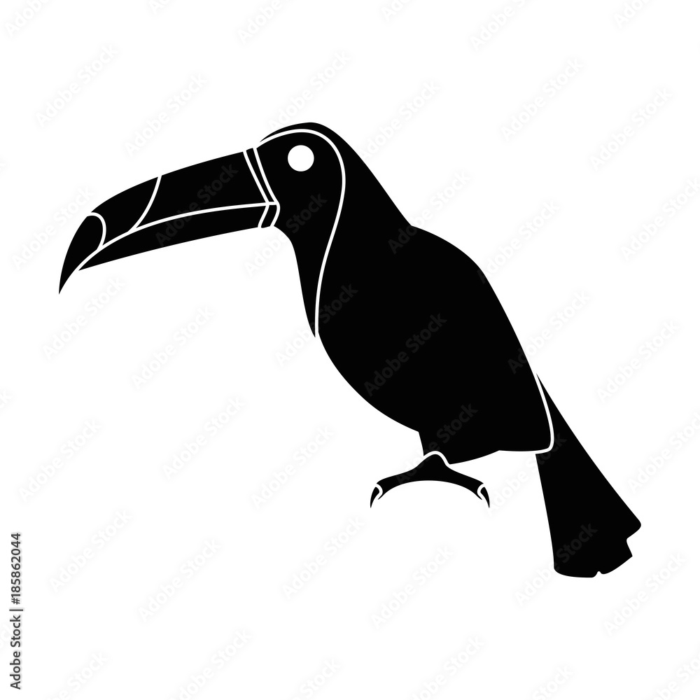 Obraz premium toucan exotic bird icon