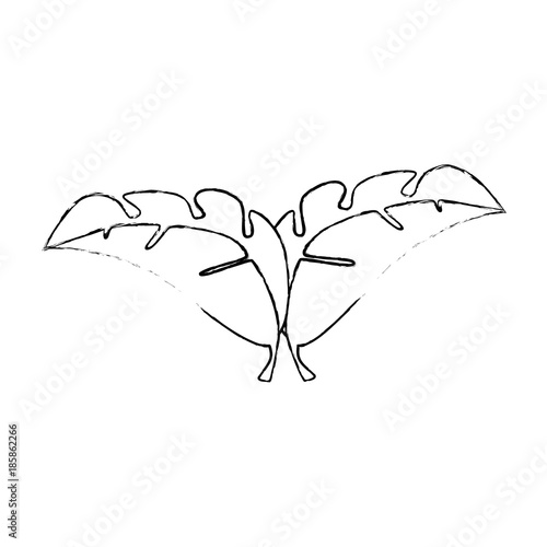 tropical palm leaf icon