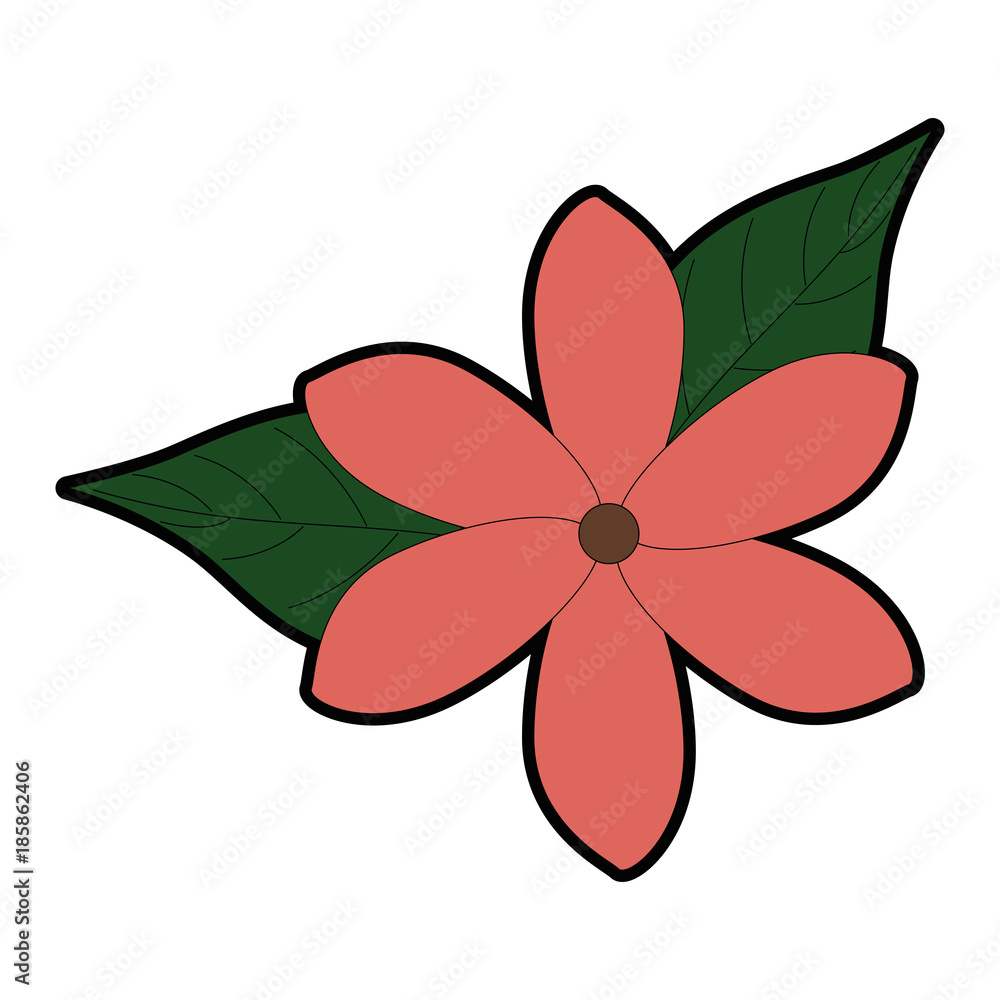 exotic and tropical flower exotic and tropical flower