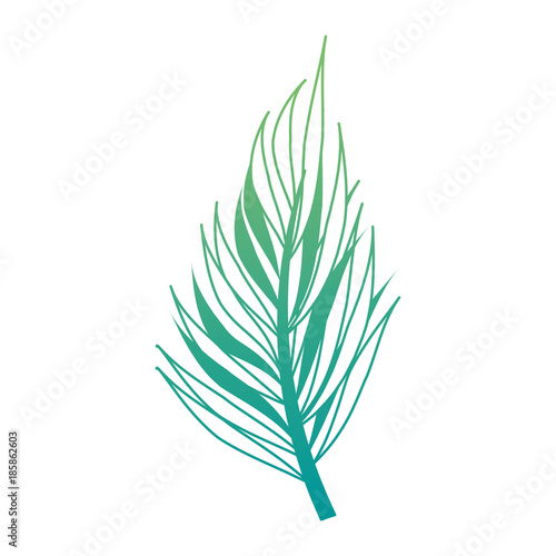 tropical palm leaf icon