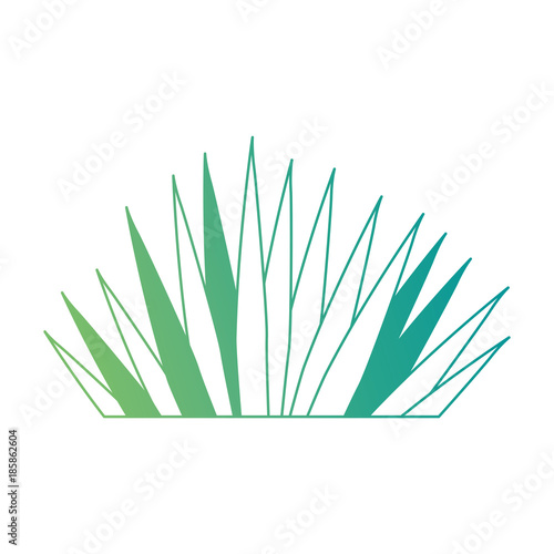tropical palm leaf icon