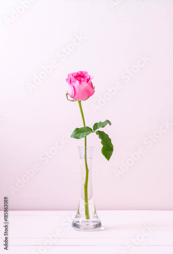 pink rose in vase on wood background