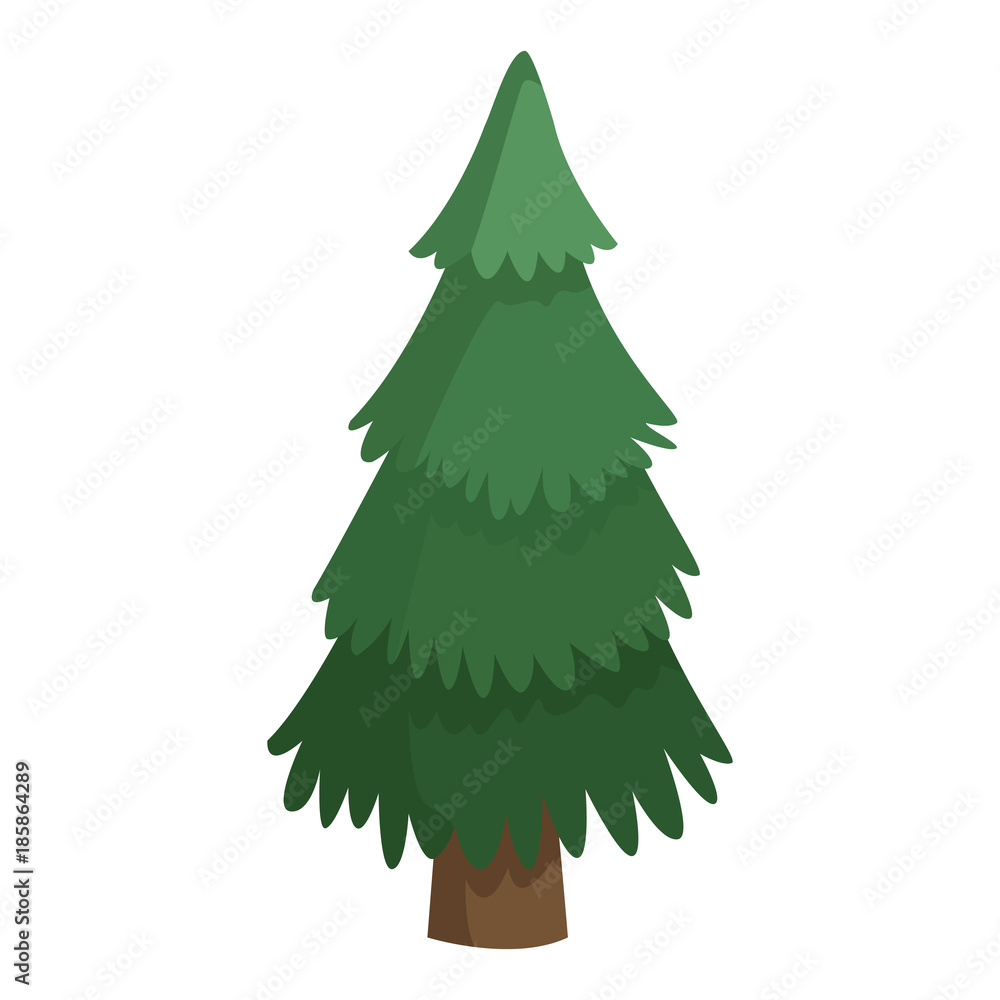 Fototapeta premium Tree pine isolated icon vector illustration graphic design