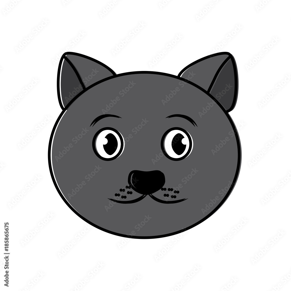 cat pet head cute animal vector illustration cat pet head cute animal vector illustration