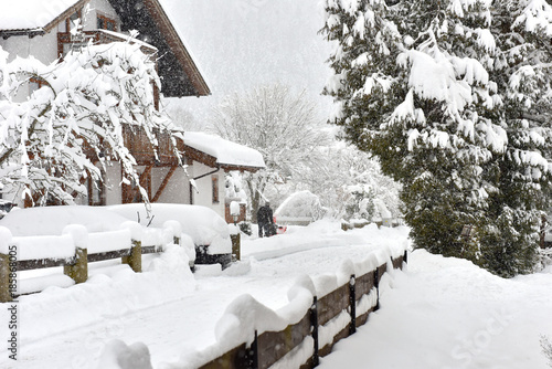 Wallpaper Mural Snow-covered street. Winter landscape. It's snowing.Trees in the snow. A heavy snowfall. Torontodigital.ca