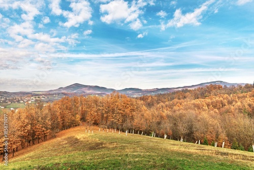 nature rural landscape with green grass, orange autumn forest trees and hills in the distance with blue sky clouds. 