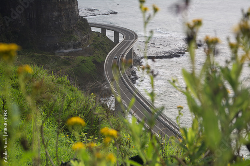 View of Sea Cliff Bridge from top of hill. Image is in selective focus. photo