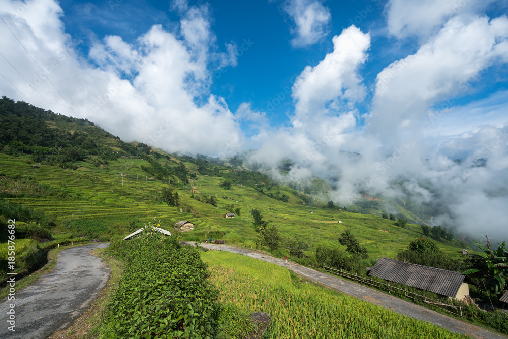 Terraced rice field landscape with low clouds in Y Ty, Bat Xat district, Lao Cai, north Vietnam