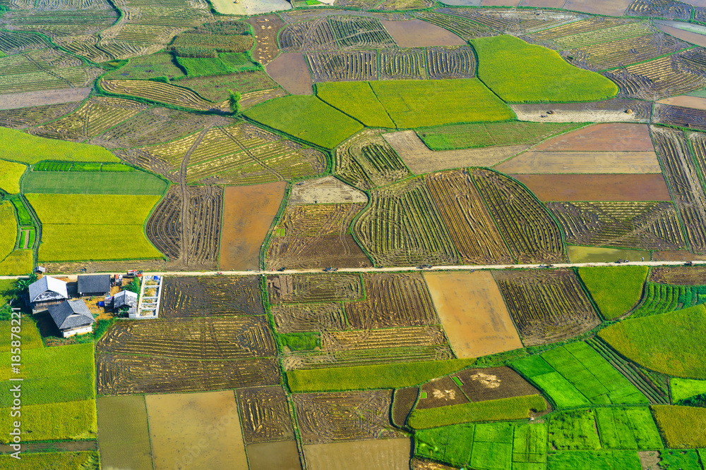 Fototapeta premium Rice field in Bac Son valley in Vietnam