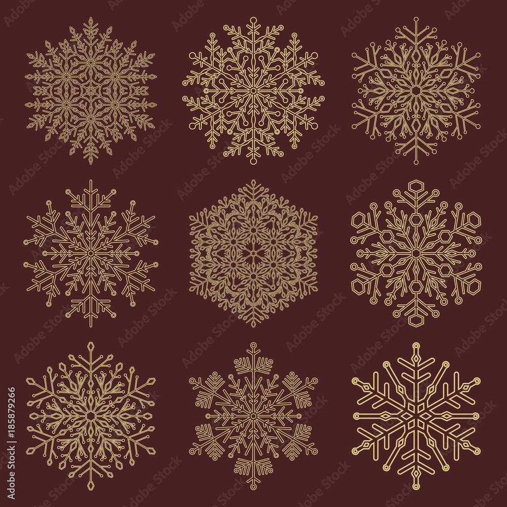 Set of vector snowflakes. Fine winter golden ornaments. Snowflakes collection. Snowflakes for backgrounds and designs