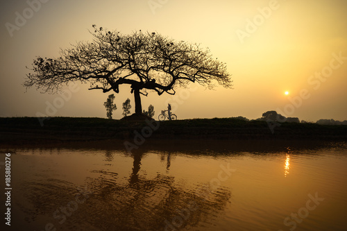 Beautiful landscape with trees silhouette and reflection at sunset with Vietnamese woman wearing traditional dress Ao Dai standing under the tree