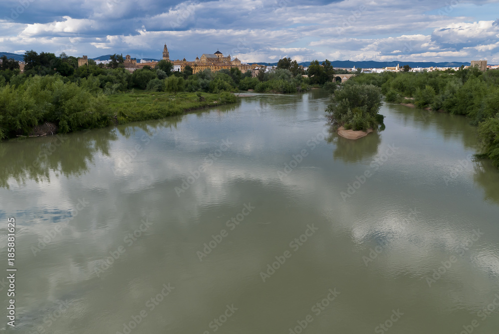 Panoramic view of the mosque of Cordoba