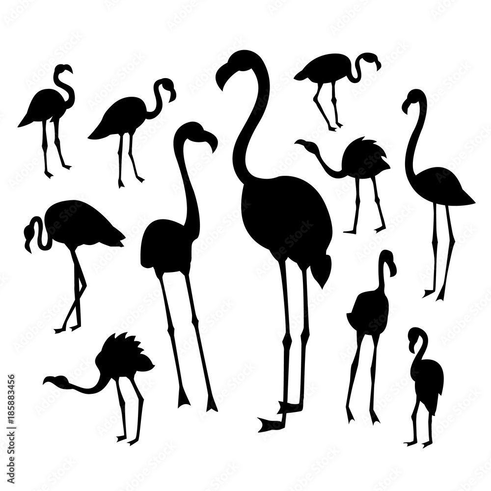 Fototapeta premium Black flamingo silhouettes on white background in different postures.