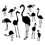 Black flamingo silhouettes on white background in different postures.