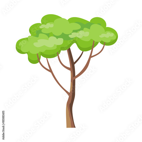 Tree with Green Leaves.