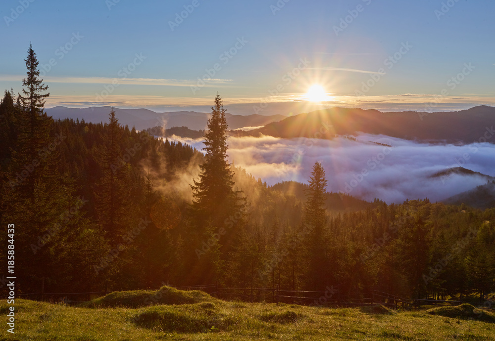 Misty dawn in the mountains