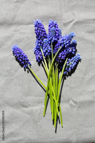 Fototapeta Naklejka Na Ścianę i Meble -  Spring blue flowers on linen
