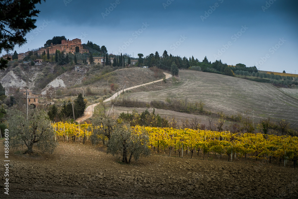 Chiusure, Siena, Tuscany - Novembre 12, 2017: Chiusure, autumnal trekking in the province of Siena, from Buonconvento to Monte Oliveto Maggiore Abbey