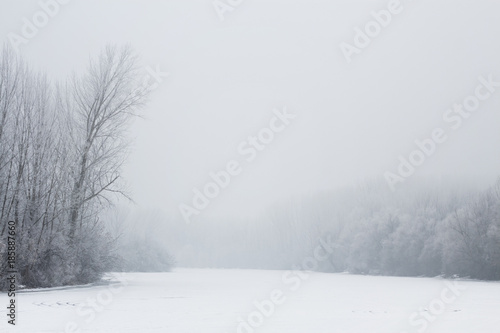 winter landscape the ice of a frozen river and beautiful trees covered with frost on the shore on a cloudy day 