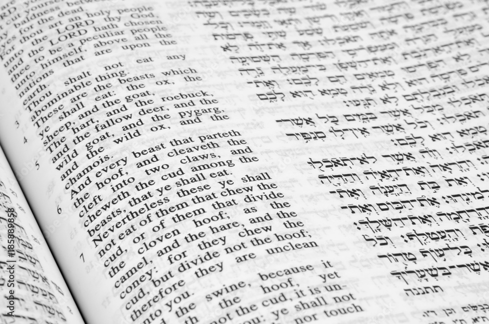 Food laws including not eating hoofed animals and seafood from Deuteronomy 14:6-9, Hebrew Jewish bible Food laws including not eating hoofed animals and seafood from Deuteronomy 14:6-9, Hebrew Jewish bible