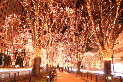 仙台　光のページェント