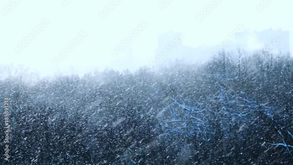 Strong wind and snowfall above the trees. Cityscape silhouette on horizon. Strong wind and snowfall above the trees. Cityscape silhouette on horizon.