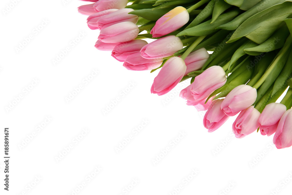 Tongue fresh tulips usually considered as innocence flowers and are an extremely pleasant surprise when we give them just without a chance. Tongue fresh tulips usually considered as innocence flowers and are an extremely pleasant surprise when we give them just without a chance.