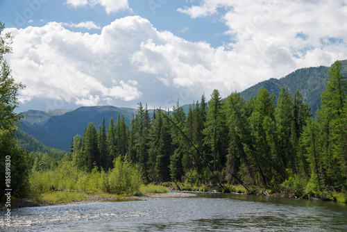 Beautiful summer landscape with mountains, forest and a river in front. Blue cloudy sky at background. © SergeyCash