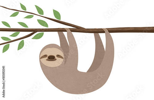 Sloth illustration