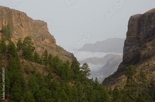 El Juncal ravine and southwest cliffs. The Nublo Rural Park. Tejeda. Gran Canaria. Canary Islands. Spain.